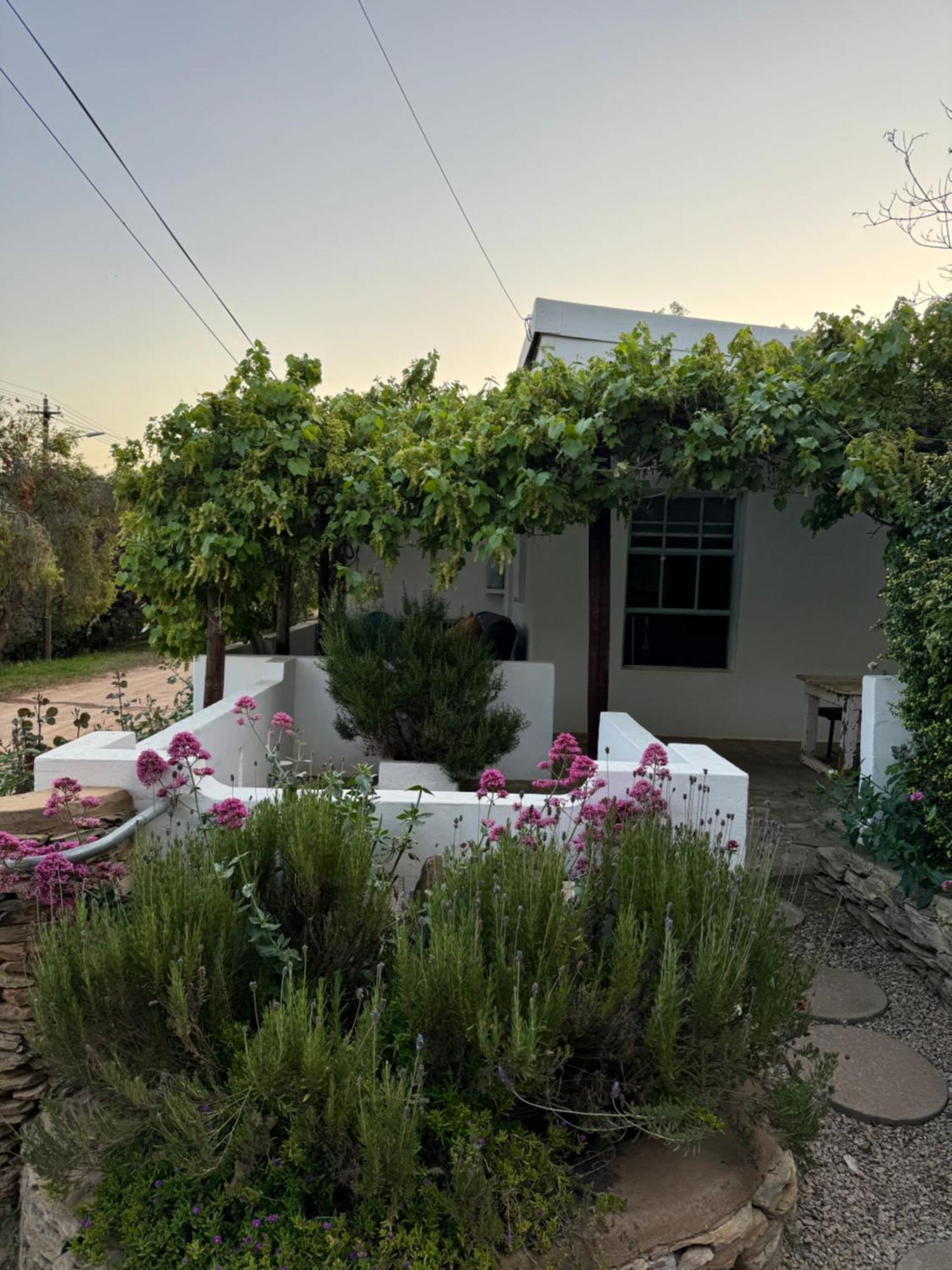 The Karoo Moon House & Cottage 배리데일 외부 사진